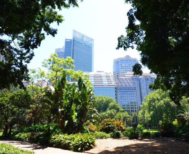 Hyde Park, east of the Sydney City Business District (City Centre)