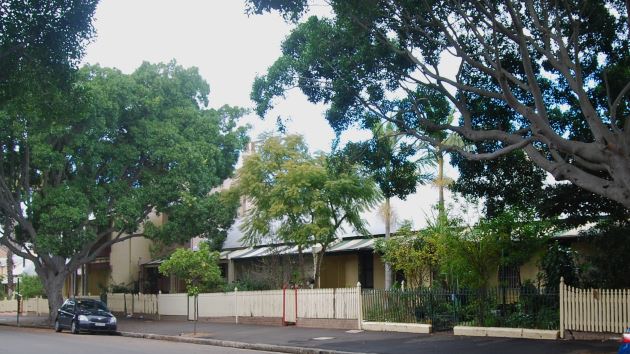 Historical workers cottages still line Glebe Point Road