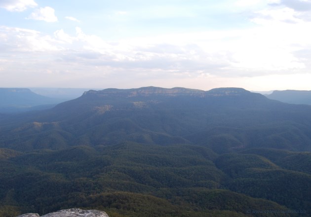 Mount Solitary, surrounded by the eucalypt gums of the Blue Mountains.