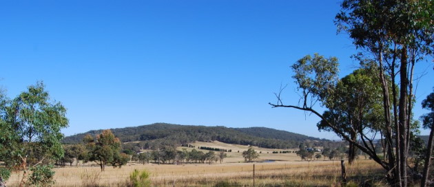 Central Tablelands Country in Summer