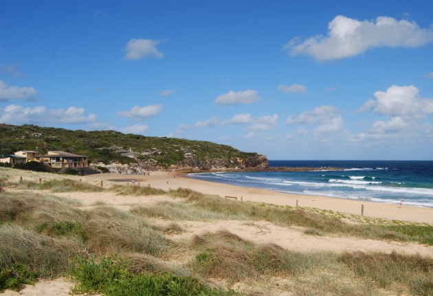 North Curl Curl Beach with the SLSC on the left and sand dunes in the foreground