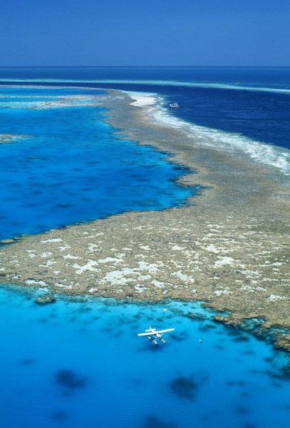 Cruise the islands or take an adventure flight to explore the Barrier Reef.